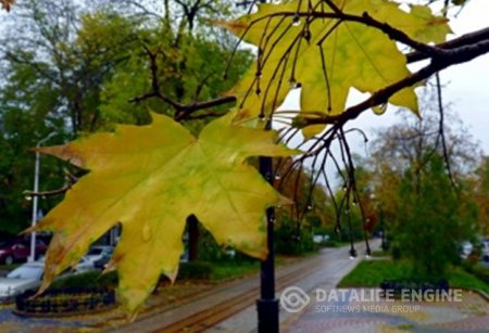 � ���������� ������� ��������� �����������, �� ����� ��� ��������