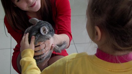 �������� ZOO ������ � ������ ������ � 17 ������ �� 15 �������
